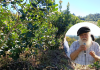 La Asociación de Productores Agropecuarios de Misiones pidió la renuncia del presidente del INYM: “No queremos ser cómplices, vamos a seguir reclamando un precio justo para la yerba” hugo sand apam