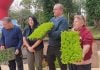 Eldorado entregó 25.000 plantines