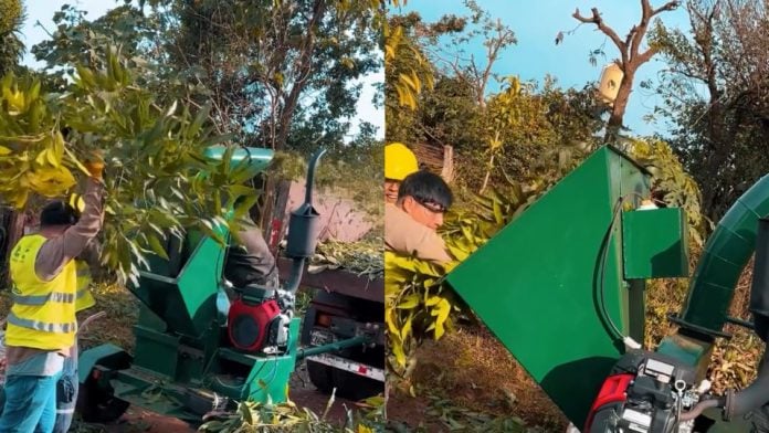 Eldorado consolida una política ambiental