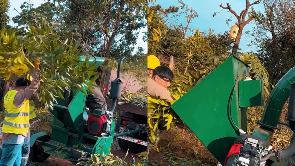 Eldorado realizó un operativo ambiental de alto impacto en el barrio 20 de Junio