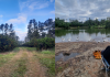Selva y chacra
