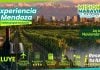 Misiones Maravilla te lleva a Mendoza | Entre viñedos, montañas y sabores: una propuesta para descubrir el vino desde las emociones Misiones Maravilla te lleva a Mendoza