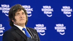 Análisis semanal: Milei se pega otro tiro al pie, el dilema libertario con las provincias y el nuevo escenario político misionero imagen-6