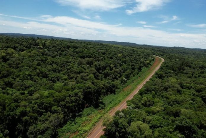 Misiones-primer Bono Verde respaldado por créditos de carbono