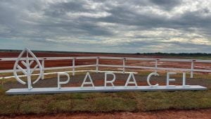 Paraguay | Paracel prevé el inicio de la producción de su planta de celulosa para 2030 imagen-5
