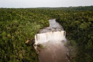 Paraguay | La UNESCO incorporó la Reserva de Biosfera Sur del Alto Paraná a su red mundial, consolidando un corredor estratégico para la conservación imagen-6