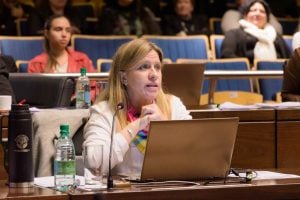 La UCR reactivó un proyecto que busca terminar con las reelecciones indefinidas en los municipios imagen-6
