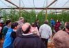 “No quedarse solo con el tabaco”: la apuesta de familias rurales a nuevos cultivos bajo invernadero