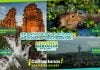 Misiones Maravilla EVT en vacaciones de invierno