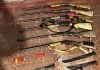 Cinco detenidos por caza furtiva en un predio forestal de San Pedro: secuestraron armas y municiones