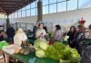 MERCADO CONCENTRADOR