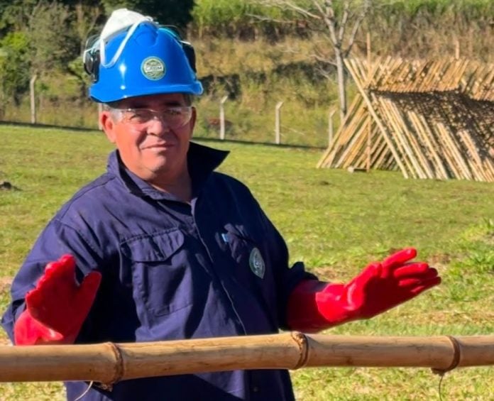 bambu planta de procesamiento de bambú