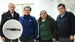 Por primera vez en un hospital público, extrajeron un clavo del intestino de un niño con cirugía magnética sin cicatrices