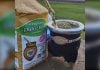 Mundial de la Yerba Mate