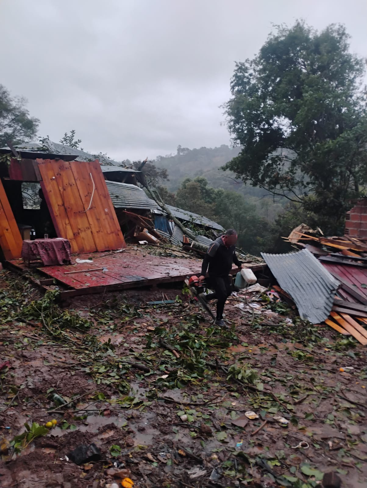 Árbol cae sobre casa en Bernardo de Irigoyen Milagro!