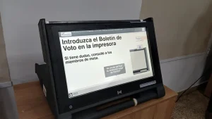 Paraguay vota: más de 4,6 millones de electores eligen candidatos a intendentes en 263 municipios imagen-5