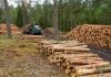Con apoyo de la UNaM, Corrientes actualizó su inventario forestal y busca generar más de 200 mil nuevos puestos de trabajo en el sector forestoindustrial