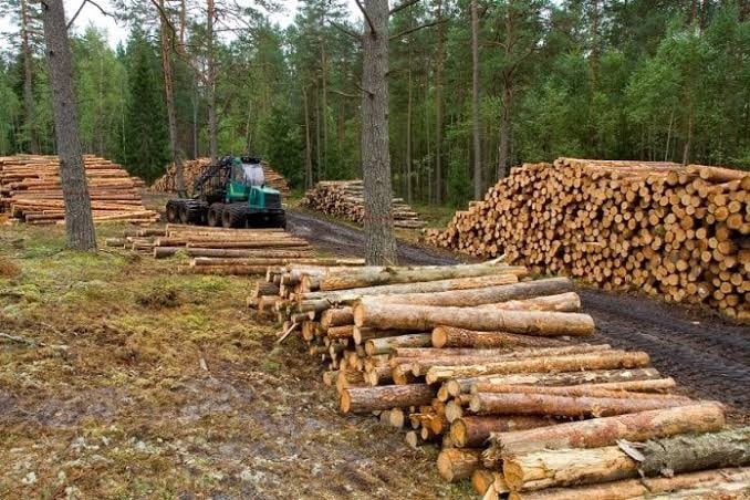 forestondustrial