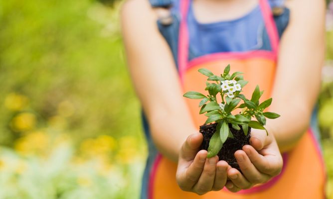 “Naturaleza: el gran rompecabezas”