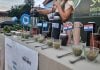 Apóstoles | Del mate argentino al chimarrão brasileño: una charla mostró las distintas formas de consumir yerba mate en el mundo