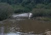 Cerraron el acceso a los Saltos del Moconá por la crecida del arroyo Yabotí saltos del moconá