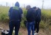 Posadas | Secuestraron marihuana valuada en casi tres millones de pesos
