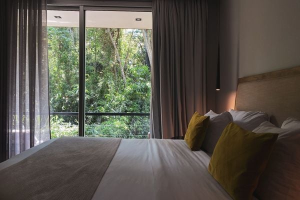 Selvaje Lodge Iguazú: el lujo de desconectarse en plena selva misionera