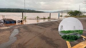 El prefeito de Porto Mauá celebró la apertura de un diálogo inédito entre Argentina y Brasil para la construcción de un puente: “Es la mejor salida contra las inundaciones” imagen-6