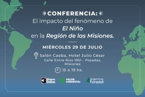 Misiones Online reunirá en Posadas a expertos internacionales para analizar el impacto de El Niño con información científica y fortalecer la gestión del riesgo climático en la Región de las Misiones imagen-5