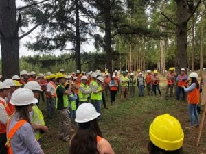 Posadas será sede en agosto de un seminario con foco en inversiones forestales, mercados de carbono y competitividad foresto-industrial imagen-6