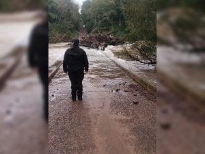 Cortaron el tránsito en el Puente Fabuel entre Eldorado y Colonia Victoria, por la crecida del arroyo Piray Miní y la acumulación de ramas imagen-6