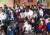 Eldorado fortalece las huertas escolares con una nueva capacitación en la Escuela 735
