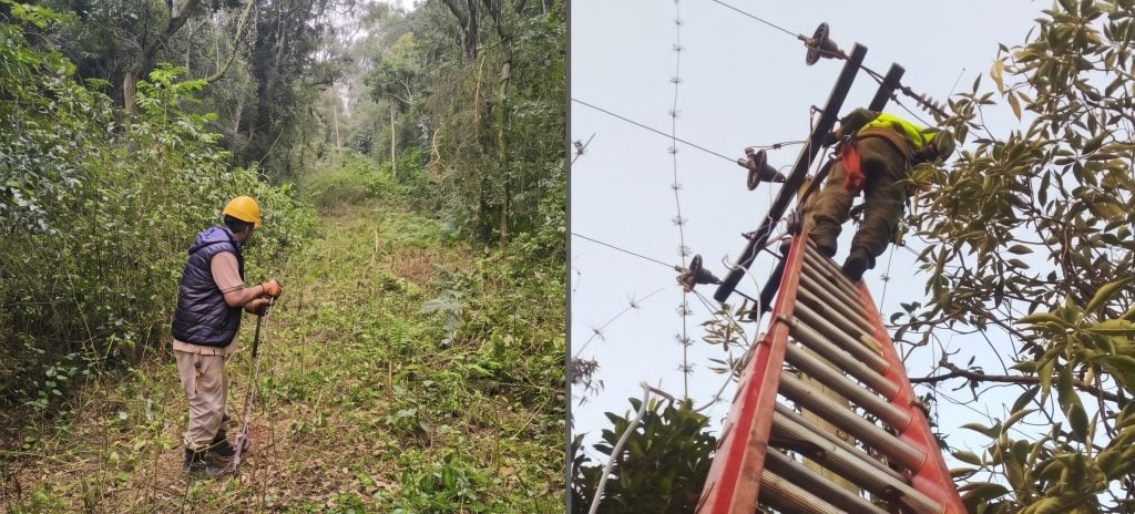 Energía de Misiones refuerza las cuadrillas para reparar los daños que causaron los fuertes vientos en San Vicente y San Pedro