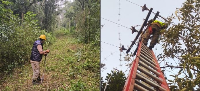Energia de Misiones