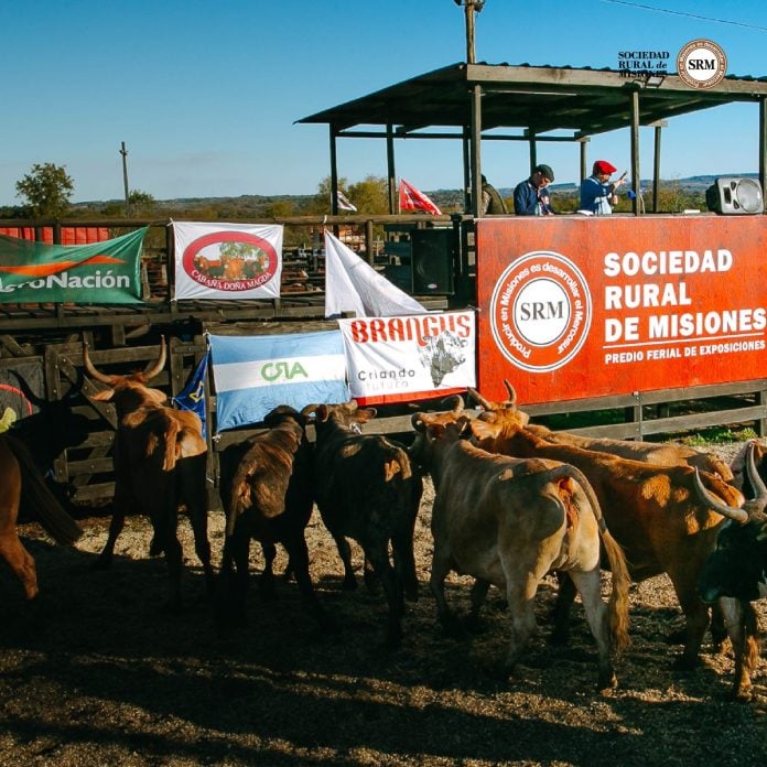 Expo Rural (6)