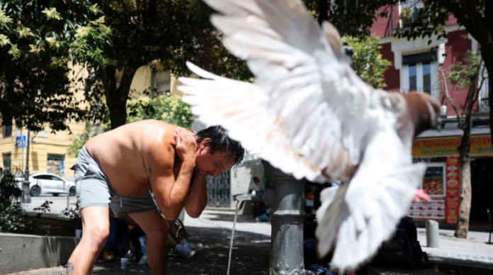 Ola de calor