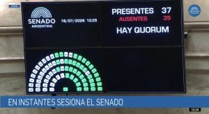Pese a los pedidos en Misiones, los senadores nacionales de Encuentro Misionero y del PRO dieron quórum para tratar la polémica ley de extranjerización de tierras imagen-6
