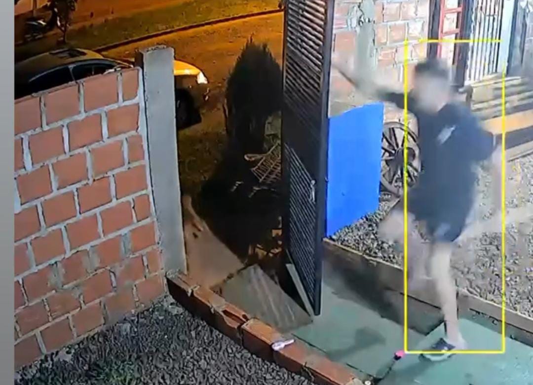 Maltrato animal en Posadas: denunciaron penalmente a un hombre por golpear brutalmente a dos perros - MisionesOnline