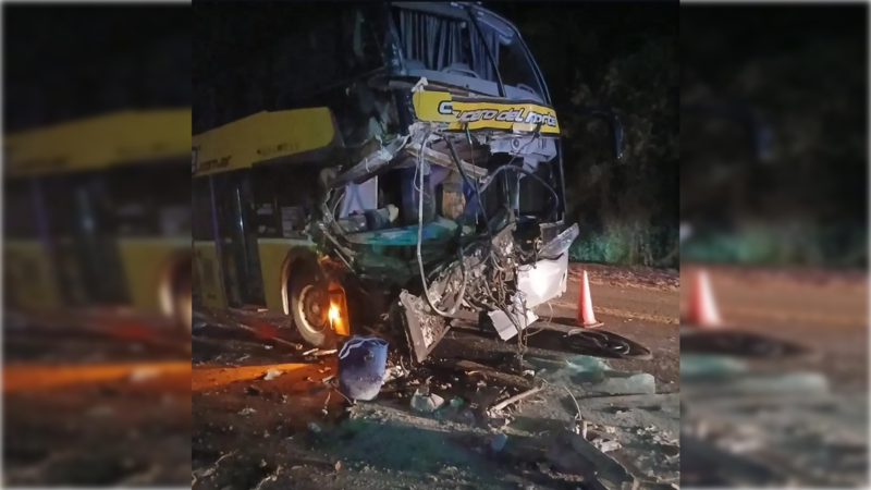 Un colectivo de larga distancia protagonizó un grave siniestro vial en Capioví