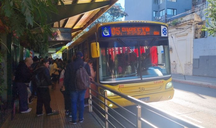 colectivo