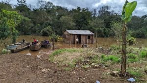 Misiones se prepara para nuevas crecidas por El Niño: advierten que tres localidades están en riesgo de inundaciones en las márgenes del río Uruguay imagen-6