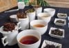 El té es mucho más que una infusión: la ciencia respalda a la bebida ancestral como beneficiosa para la microbiota intestinal