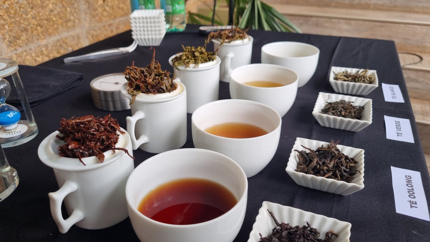 El té es mucho más que una infusión: la ciencia respalda a la bebida ancestral como beneficiosa para la microbiota intestinal