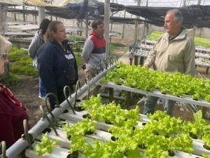 En Liebig analizan prácticas de producción hidropónica y hortícola, para diversificar las alternativas rentables imagen-6