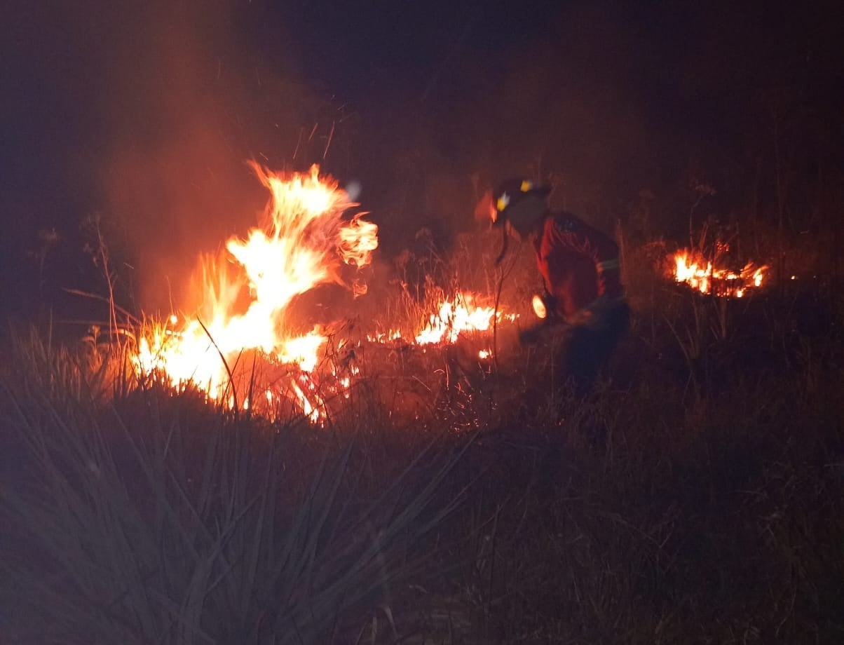 Misiones | Bomberos realizaron casi 50 intervenciones en los últimos cinco días por incendios y advierten que el riesgo continúa alto