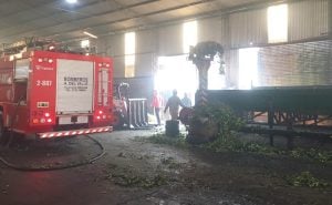 Se incendió un secadero de yerba mate en Aristóbulo del Valle y provocó importantes daños materiales imagen-5