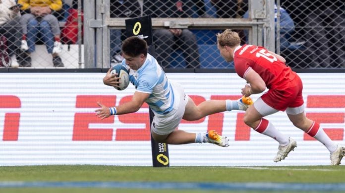 los pumas