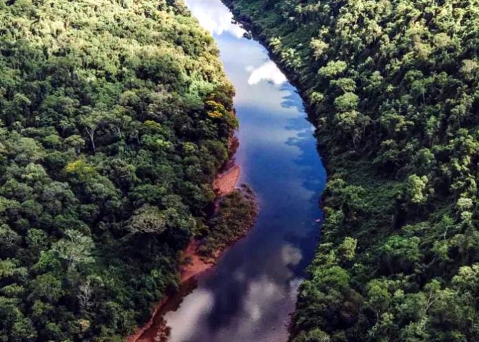 extranjerización de tierras