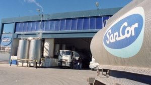 Freno judicial a la venta de SanCor: la Cámara de Apelaciones suspendió la licitación por lotes tras un reclamo imagen-5